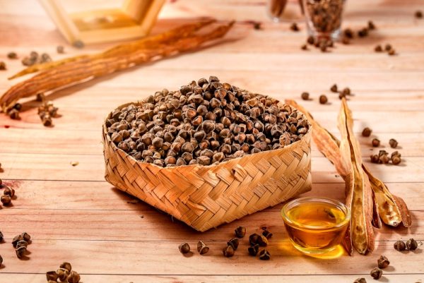 TIMOR MORINGA SEEDS