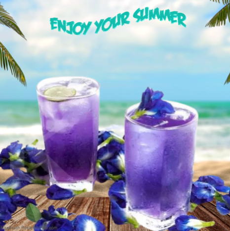 TURNING “BUTTERFLY PEA FLOWERS” INTO HEALTHY DRINK
