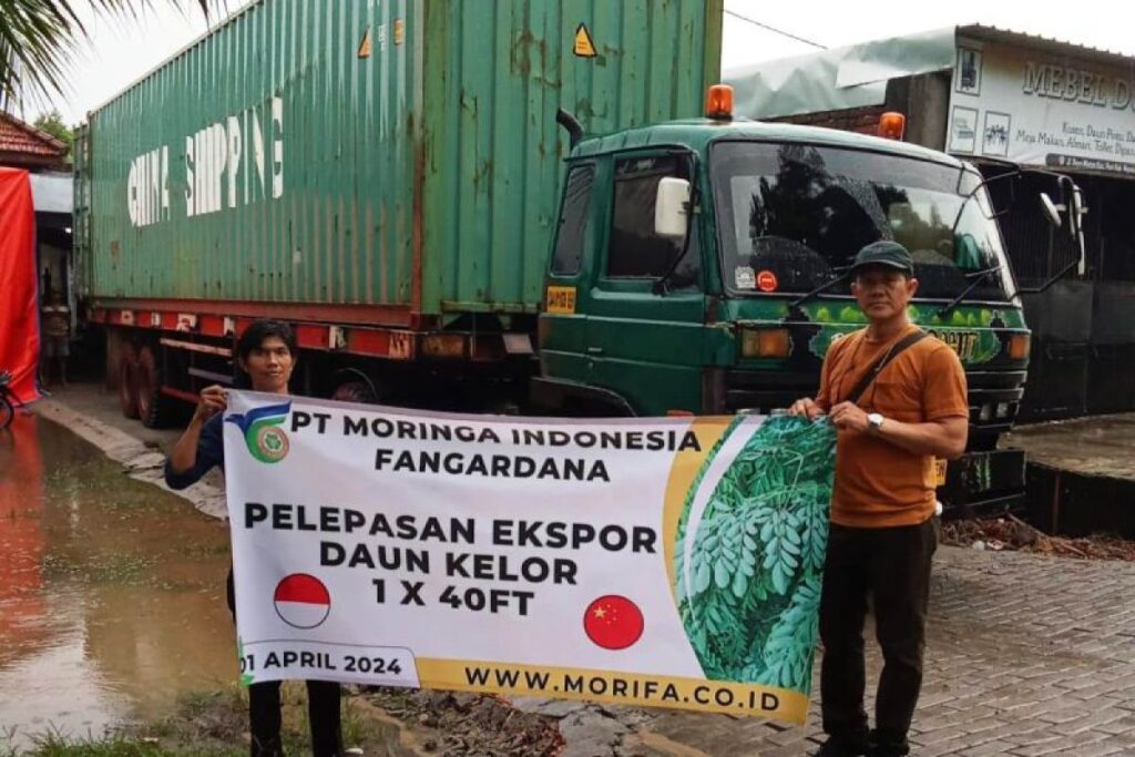MORIFA Ships 20 Tonnes of Dried Moringa Leaf to China