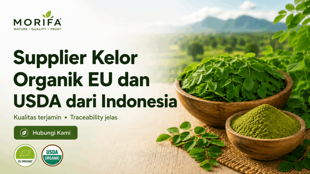 Supplier Kelor Organik EU dan USDA | MORIFA